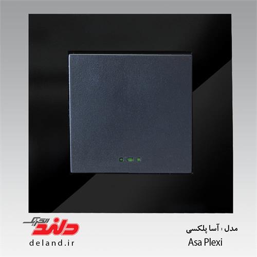 کلید یک پل آسا پلکسی مشکی دلندالکتریک
