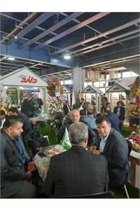 نمایشگاه صنعت برق تهران 1403-دلندالکتریک