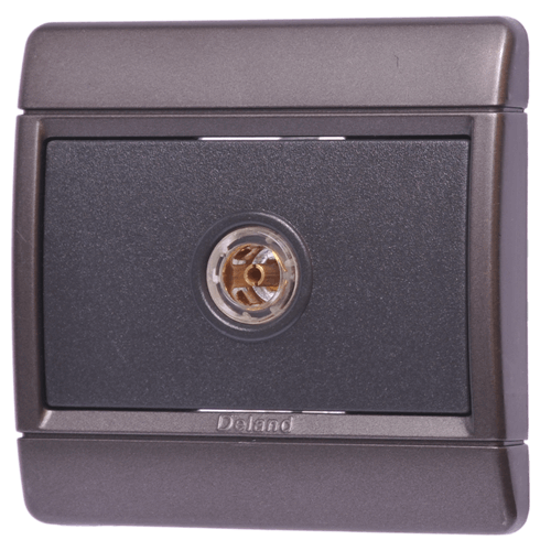 فیش آنتن دلند