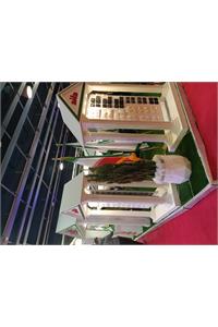 نمایشگاه صنعت برق تهران 1403-دلندالکتریک